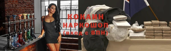 стаф Тавда